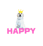 ラブラドールレトリバーHAPPY（個別スタンプ：1）