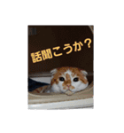 うちのバロさん3（個別スタンプ：15）