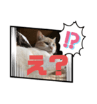 うちのカリンさん3（個別スタンプ：6）