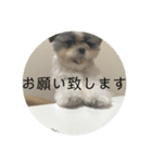 きぬちゃんスタンプ2（個別スタンプ：5）