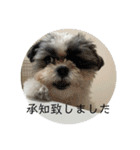 きぬちゃんスタンプ2（個別スタンプ：6）