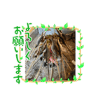 河野家の食卓（個別スタンプ：1）