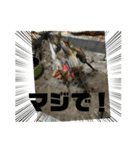 河野家の食卓（個別スタンプ：7）