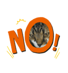ねこ挨拶すたんぷ 3（個別スタンプ：20）