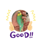 ダックス と セキセイインコの日常 1（個別スタンプ：3）