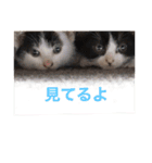 ニゴ＆ハチゴ②（個別スタンプ：7）