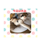 ニゴ＆ハチゴ②（個別スタンプ：8）