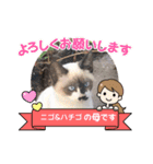 ニゴ＆ハチゴ②（個別スタンプ：13）