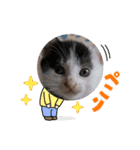 ニゴ＆ハチゴ②（個別スタンプ：14）