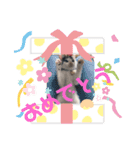 ニゴ＆ハチゴ②（個別スタンプ：15）