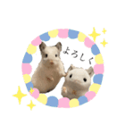 チンチラはにーちゃん2（個別スタンプ：6）