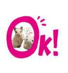 チンチラはにーちゃん2（個別スタンプ：8）