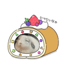 チンチラはにーちゃん2（個別スタンプ：12）