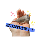 きんぎんの日常（個別スタンプ：4）