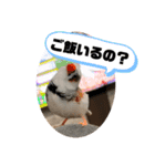 きんぎんの日常（個別スタンプ：7）