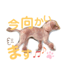 リロのきもち.（個別スタンプ：1）