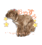 リロのきもち.（個別スタンプ：2）