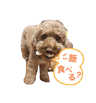 リロのきもち.（個別スタンプ：3）