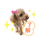 リロのきもち.（個別スタンプ：6）