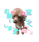 リロのきもち.（個別スタンプ：10）