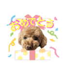 リロのきもち.（個別スタンプ：12）