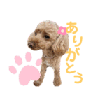 リロのきもち.（個別スタンプ：13）