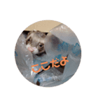 にょろとまる（個別スタンプ：3）