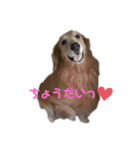 あすかとれお（個別スタンプ：8）