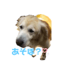 あすかとれお（個別スタンプ：9）