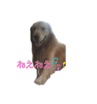 あすかとれお（個別スタンプ：10）