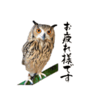 濱田家Animals（個別スタンプ：1）