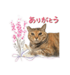 濱田家Animals（個別スタンプ：5）