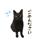 濱田家Animals（個別スタンプ：9）