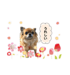 濱田家Animals（個別スタンプ：10）
