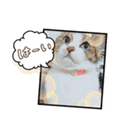 濱田家Animals（個別スタンプ：13）
