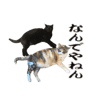 濱田家Animals（個別スタンプ：20）
