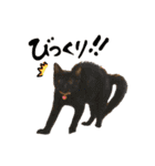 濱田家Animals（個別スタンプ：27）