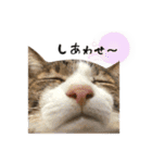 濱田家Animals（個別スタンプ：32）