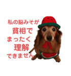 るーさま❤️❤️（個別スタンプ：1）