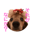 るーさま❤️❤️（個別スタンプ：5）
