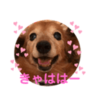 るーさま❤️❤️（個別スタンプ：6）