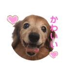るーさま❤️❤️（個別スタンプ：7）