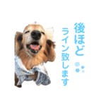 るーさま❤️❤️（個別スタンプ：8）