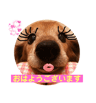 るーさま❤️❤️（個別スタンプ：9）