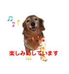 るーさま❤️❤️（個別スタンプ：10）