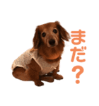 るーさま❤️❤️（個別スタンプ：13）