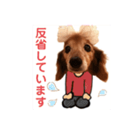 るーさま❤️❤️（個別スタンプ：14）