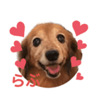 るーさま❤️❤️（個別スタンプ：16）