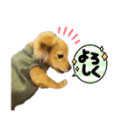 れおすたんぷぅ。（個別スタンプ：5）