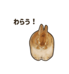 What's up, Everybun！ 2（個別スタンプ：3）